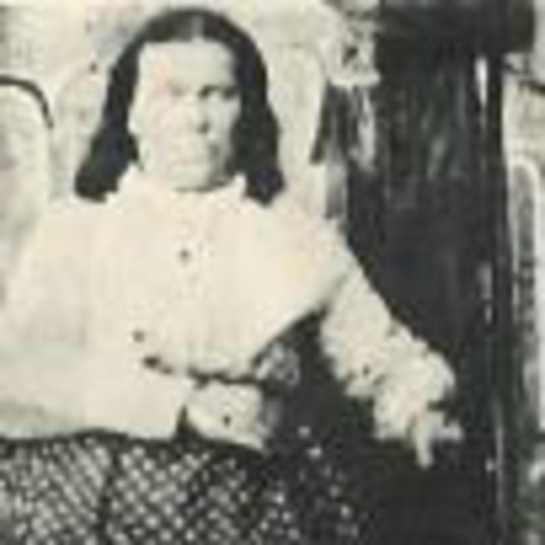Sarah Gilbert (1822 - 1893) Profile
